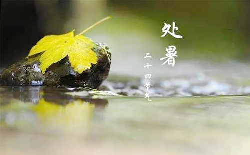 ?鑫河邦建材 —— 處暑時節(jié)，筑夢未來